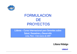 Formulacion de Proyectos - DISASTER info DESASTRES