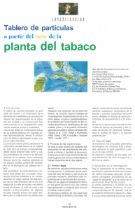 planta del tabaco