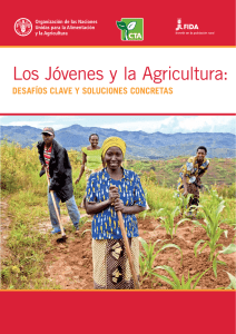 La Juventud y la Agricultura: Desafíos clave y soluciones concretas