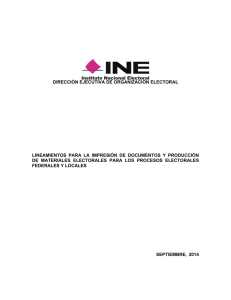 DIRECCIÓN EJECUTIVA DE ORGANIZACIÓN ELECTORAL