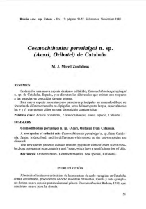 Cosmochthonius perezinigoi n. sp, (Acarí, Oríbatei) de Cataluña