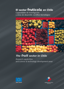 El sector frutícola en Chile