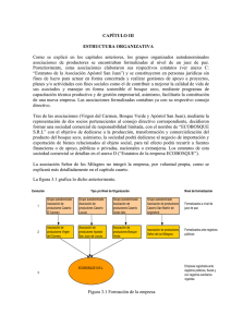 Capítulo III - Estructura Organizativa