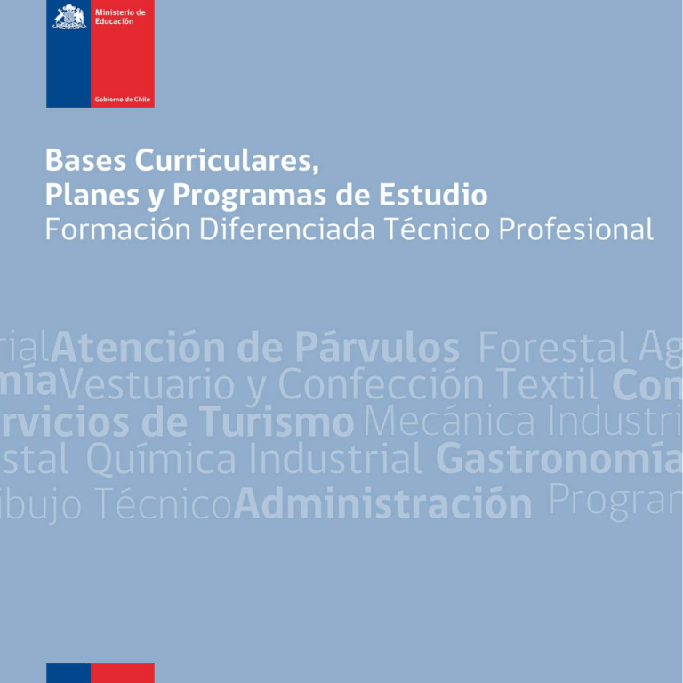 Bases Curriculares, Planes Y Programas De