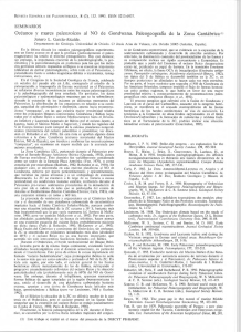 Océanos y mares paleozoicos al NO de Gondwana. Paleogeograﬁa