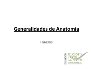 Generalidades de Anatomía