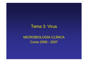 Tema 3: Virus
