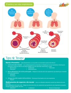 El asma y sus vías respiratorias