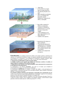 &bull; Agua clara. &bull; La luz penetra en el agua hacia las capas inferiores