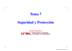 Tema 7 Seguridad y Protección