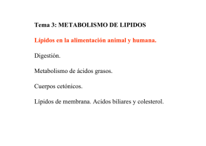 Tema 3: METABOLISMO DE LIPIDOS Lípidos en la alimentación