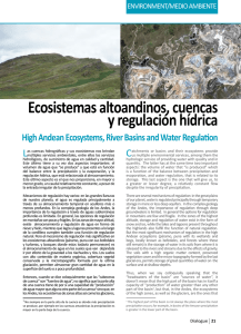 Ecosistemas altoandinos, cuencas y regulación hídrica