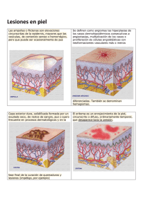 Lesiones en piel