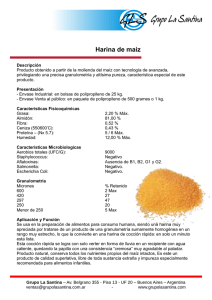 Harina de maiz - Grupo La Santina