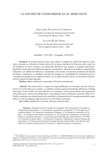 la noción de consumidor en el mercosur
