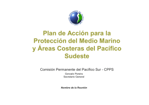 Plan de Acción para la Protección del Medio Marino y Áreas