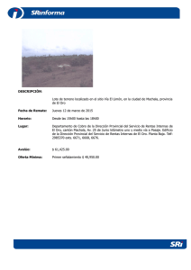 DESCRIPCIÓN: Lote de terreno localizado en el sitio Vía El