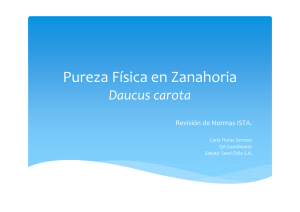 Pureza _Física en Zanahoria version corta