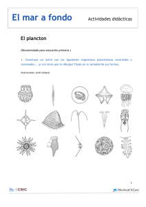 actividades didácticas plancton