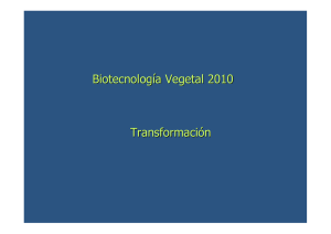 Biotecnología Vegetal 2010 Transformación