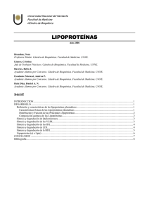 lipoproteínas