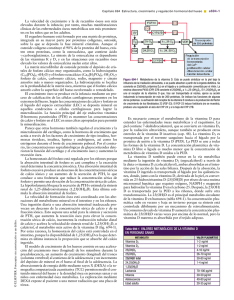 Estructura, crecimiento y regulación hormonal del hueso