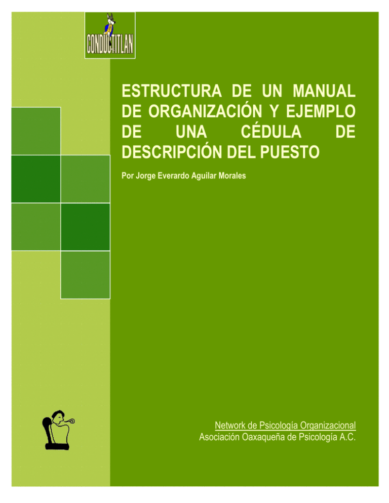 Estructura De Un Manual De Organización Y Ejemplo