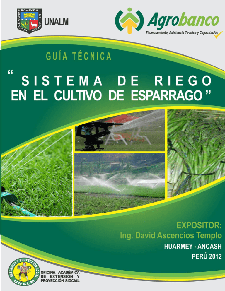 SISTEMA DE RIEGO EN EL CULTIVO