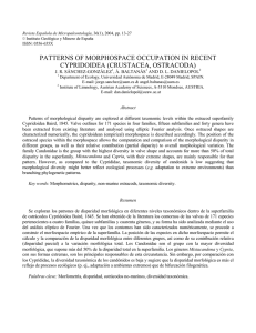 PATTERNS OF MORPHOSPACE OCCUPATION IN RECENT