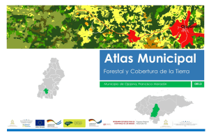 0813 Ojojona Atlas Forestal Municipal