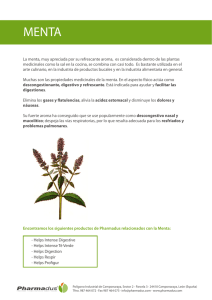 Helps Intense Té Verde - Un mundo de infusiones calidad Pharmadus