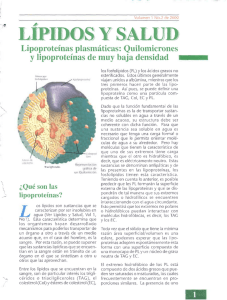 ,- Lipoproteínas plasmáticas: Quilomicrones y lipoproteínas de