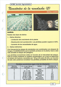 —| ACOR: Servicio Agronómic:oJI Existen dos tipos de daños: 1