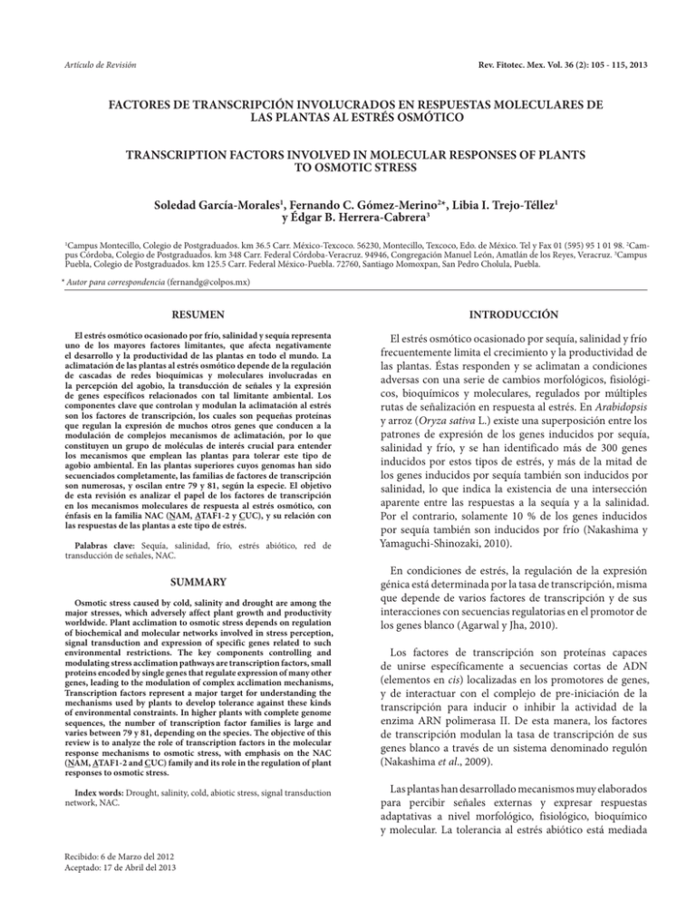 FACTORES DE TRANSCRIPCIÓN INVOLUCRADOS EN