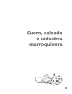 Cuero, Calzado e Industria Marroquinera en Colombia
