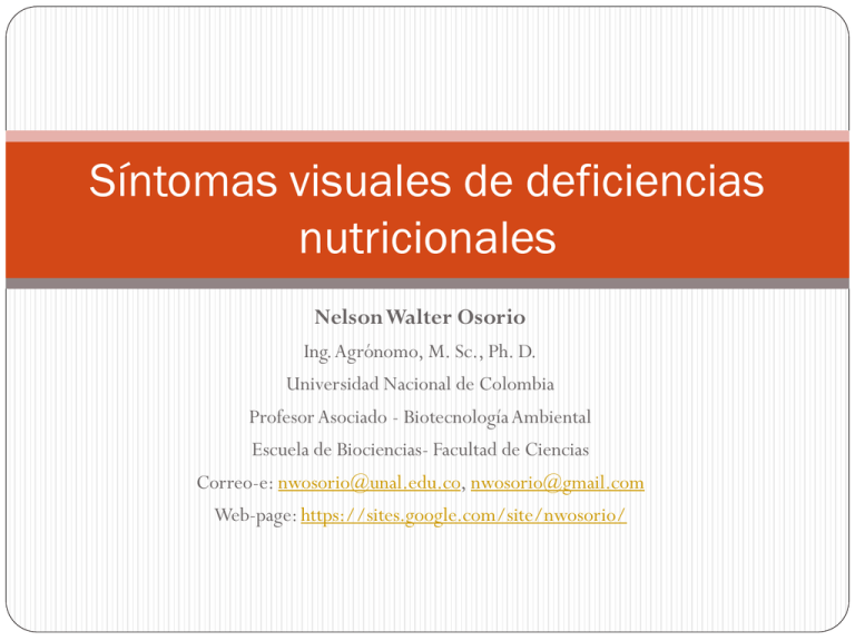 Sintomas De Deficiencias Nutricionales