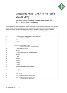 Cabeza de rótula GAKR14-PB (Serie GAKR..-PB)