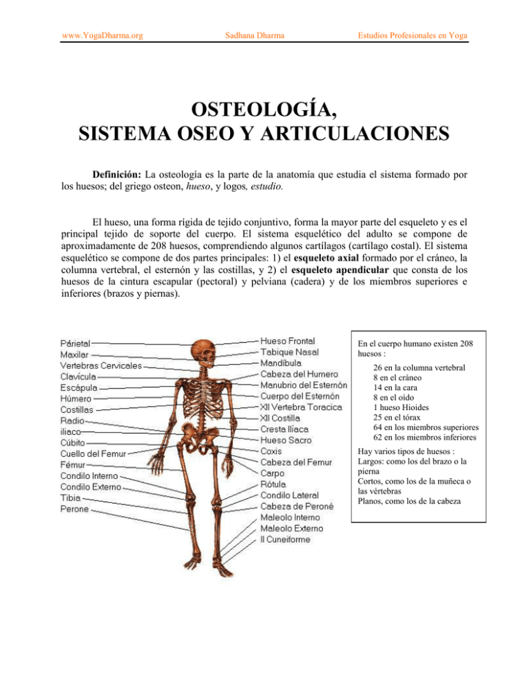 Osteología, Sistema Oseo Y Articulaciones