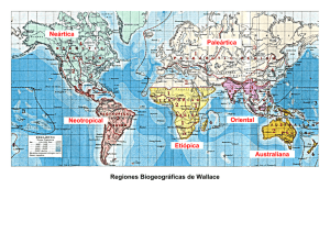 Regiones Biogeográficas de Wallace Neártica Neotropical Etiópica