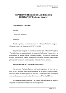 EXPEDIENTE TÉCNICO DE LA INDICACION