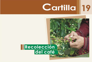 recolección