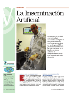 La Inseminación Artificial - Hospital veterinario Nacho Menes