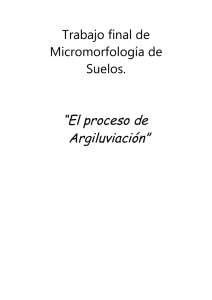 Trabajo final de Micromorfología de Suelos