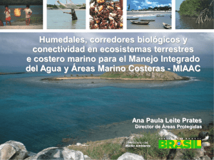Humedales, corredores biológicos y conectividad en ecosistemas