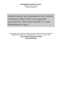 Determinación de subespecies de Erwinia carotovora