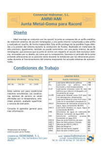 Diseño Condiciones de Trabajo AMM/AMI Junta Metal