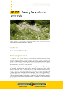 LIG 137 Fauna y flora palustre de Murgia