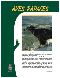AVES RAPACES.p65 - Zoo de Guadalajara