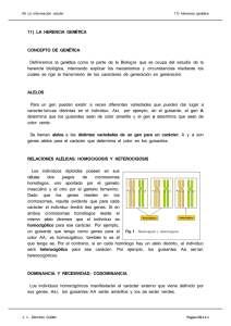 11) LA HERENCIA GENÉTICA CONCEPTO DE GENÉTICA