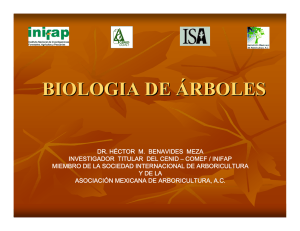 Biologia de árboles - ISA Hispana